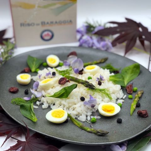 Carnaroli Baraggia rice PDO salad with eggs and fresh vegetables
